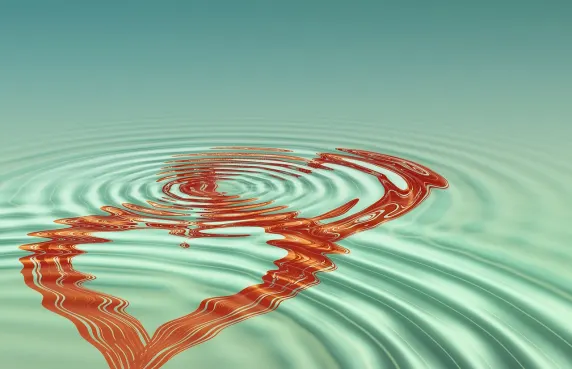 קזינו בלאק לייבל תמיכה